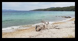 Halkidiki - Athos - Komitsa Beach -02-09-2023 - Bogdan Balaban